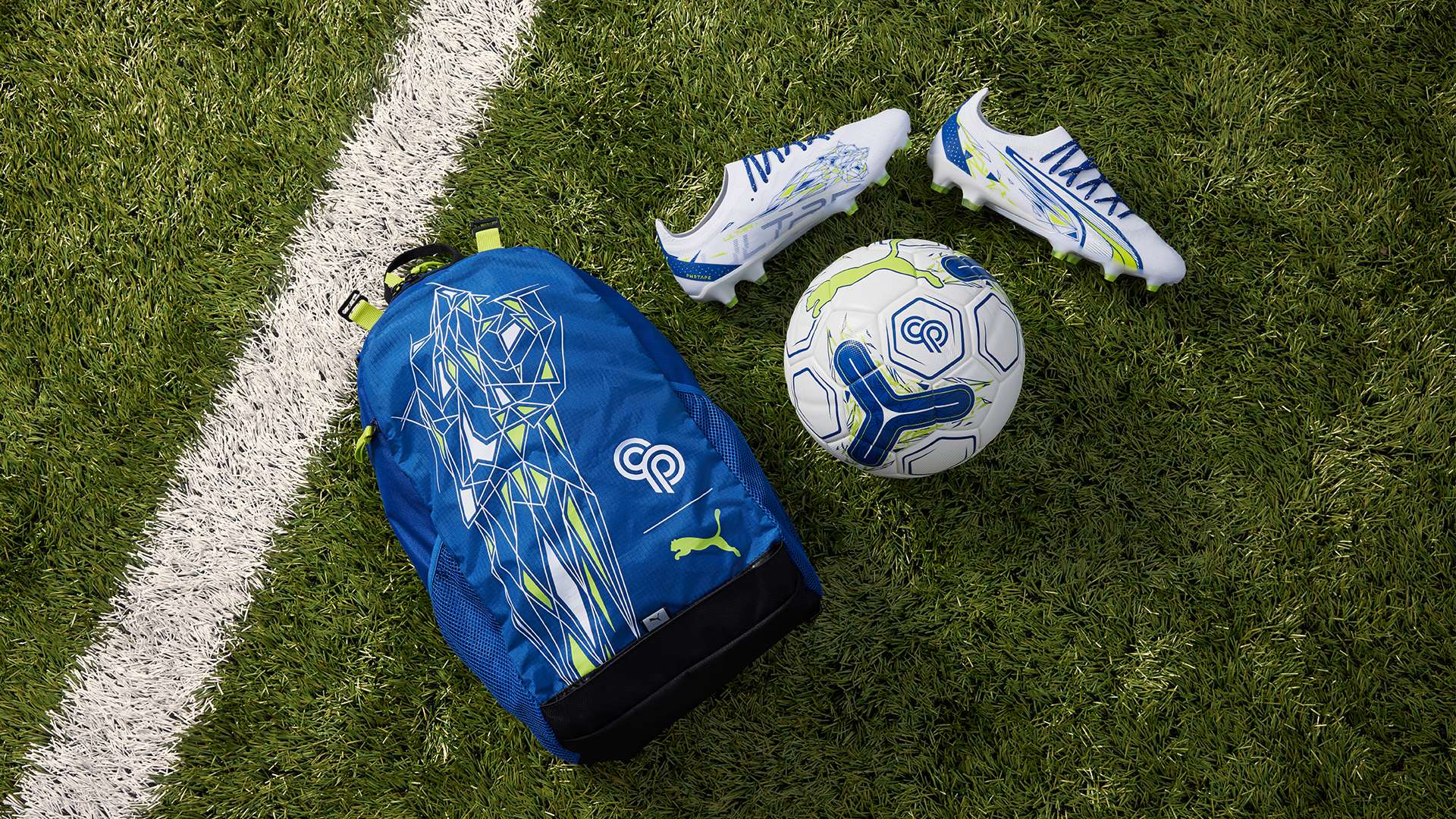 作为一位在 作为一位在