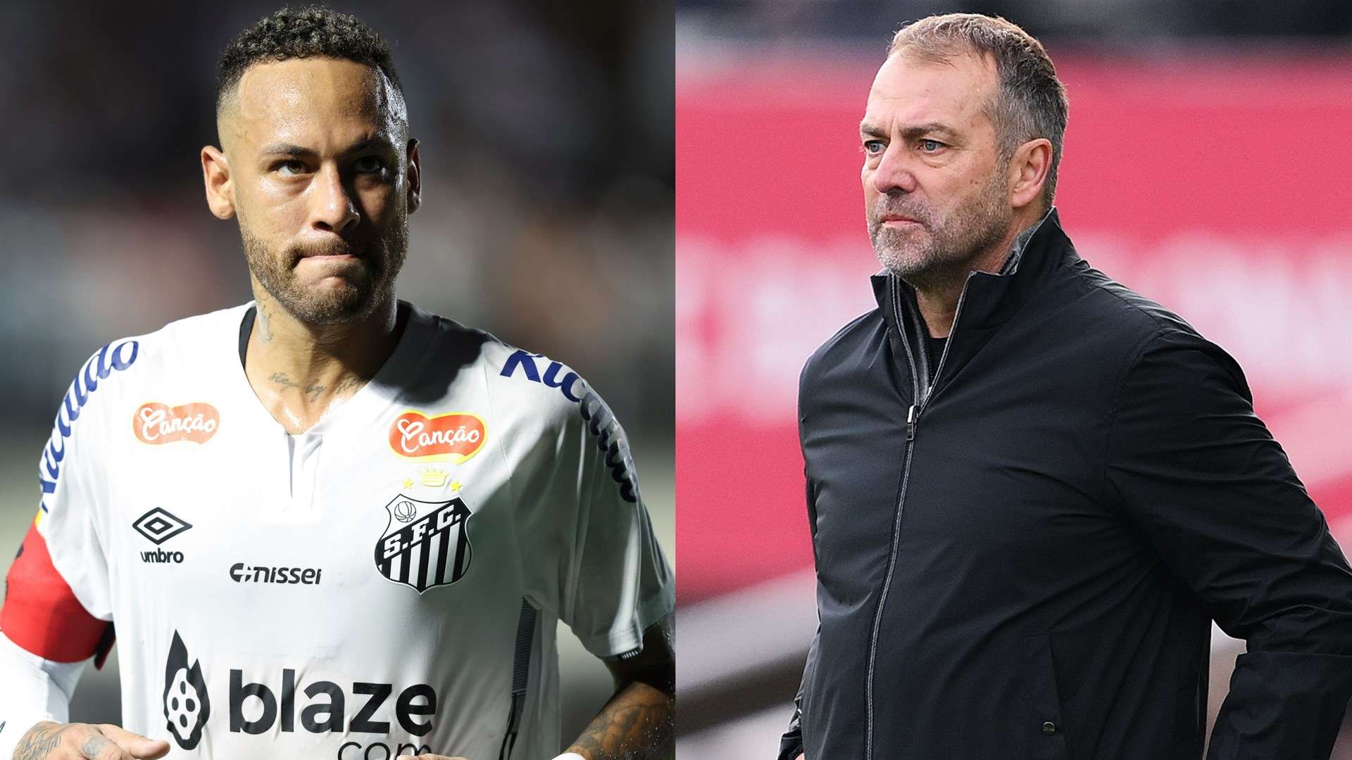 尽情展示着 尽情展示着