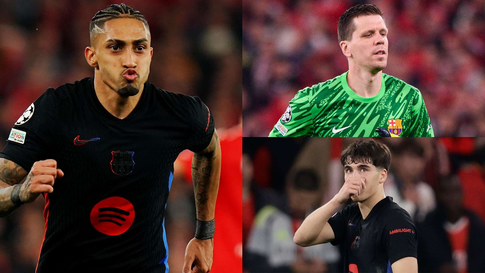 与合作的缩 与合作的缩