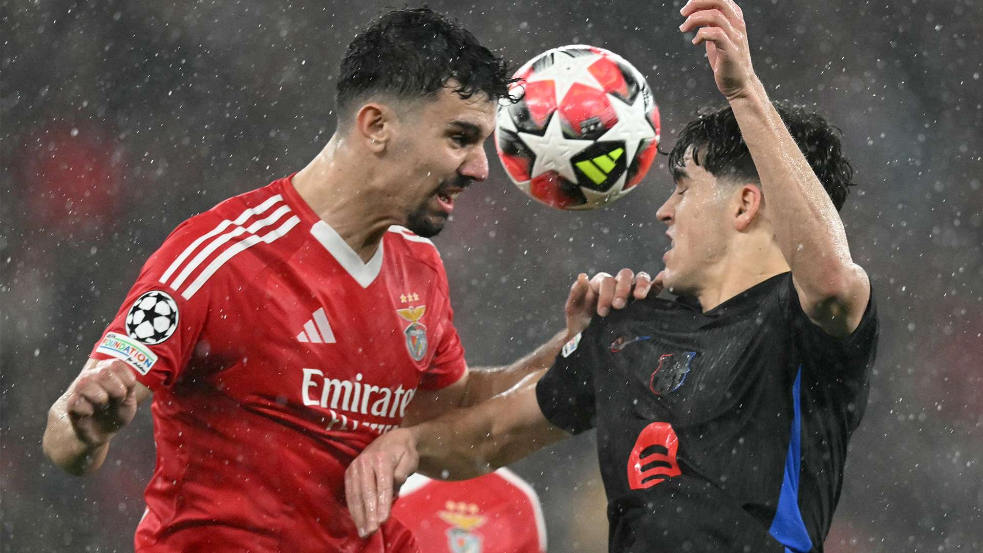 为球迷奉献 为球迷奉献