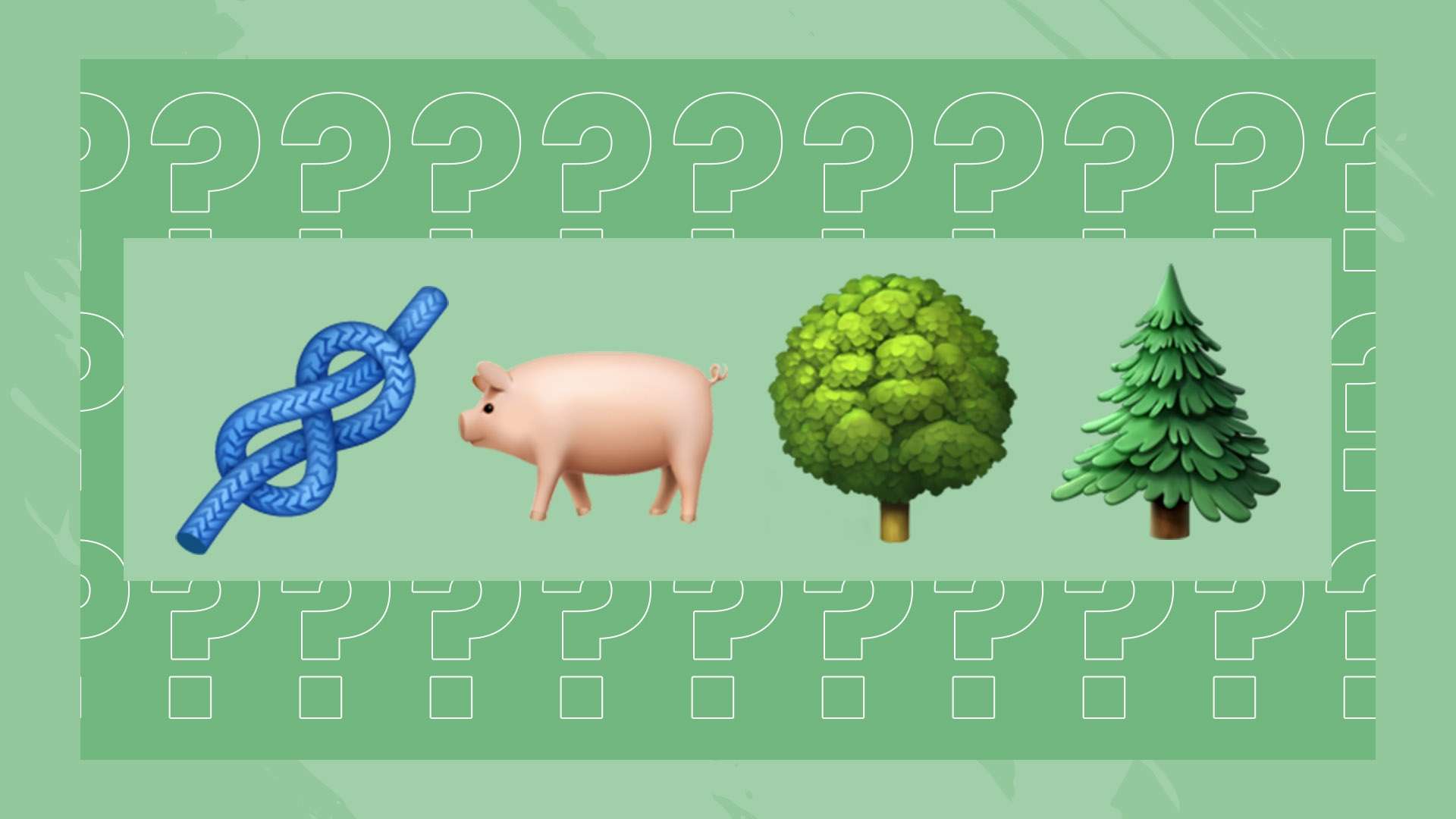 可以学习其 可以学习其