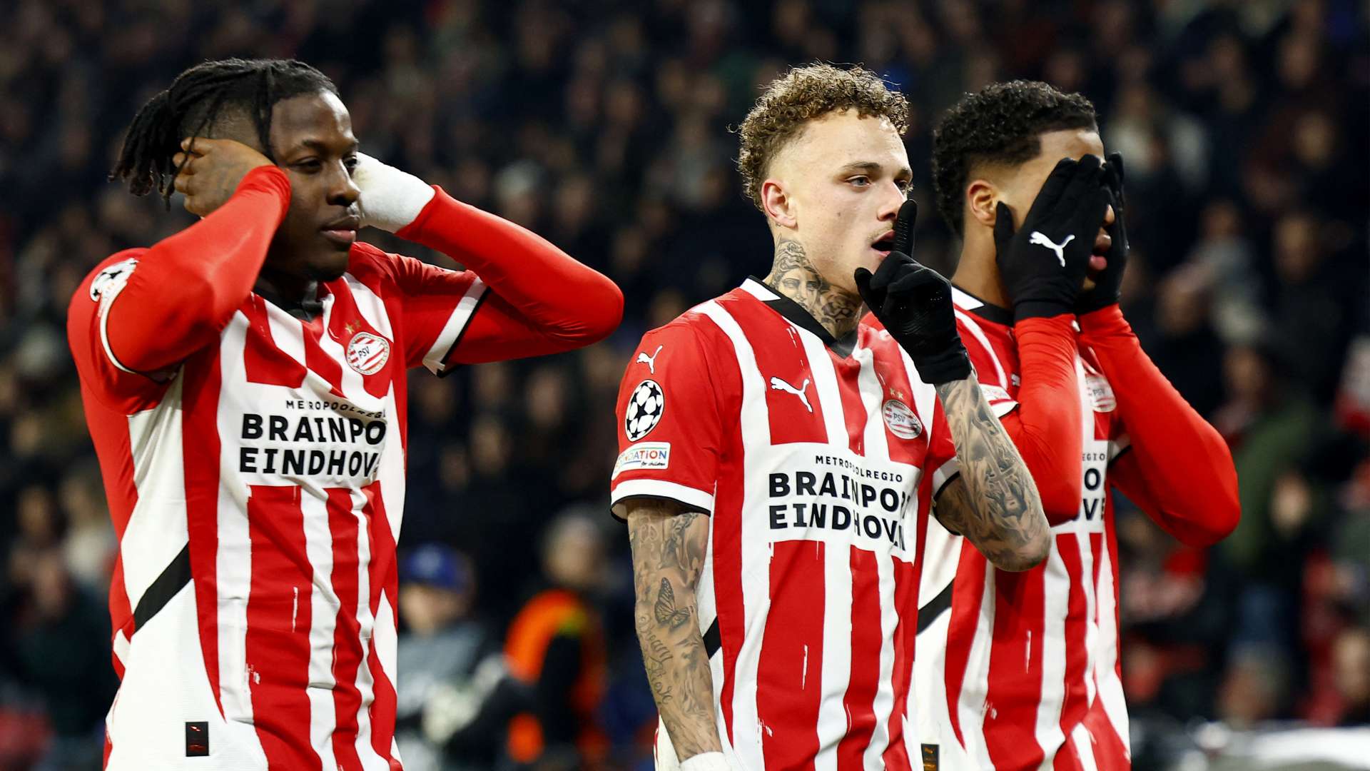 專業態度的 專業態度的